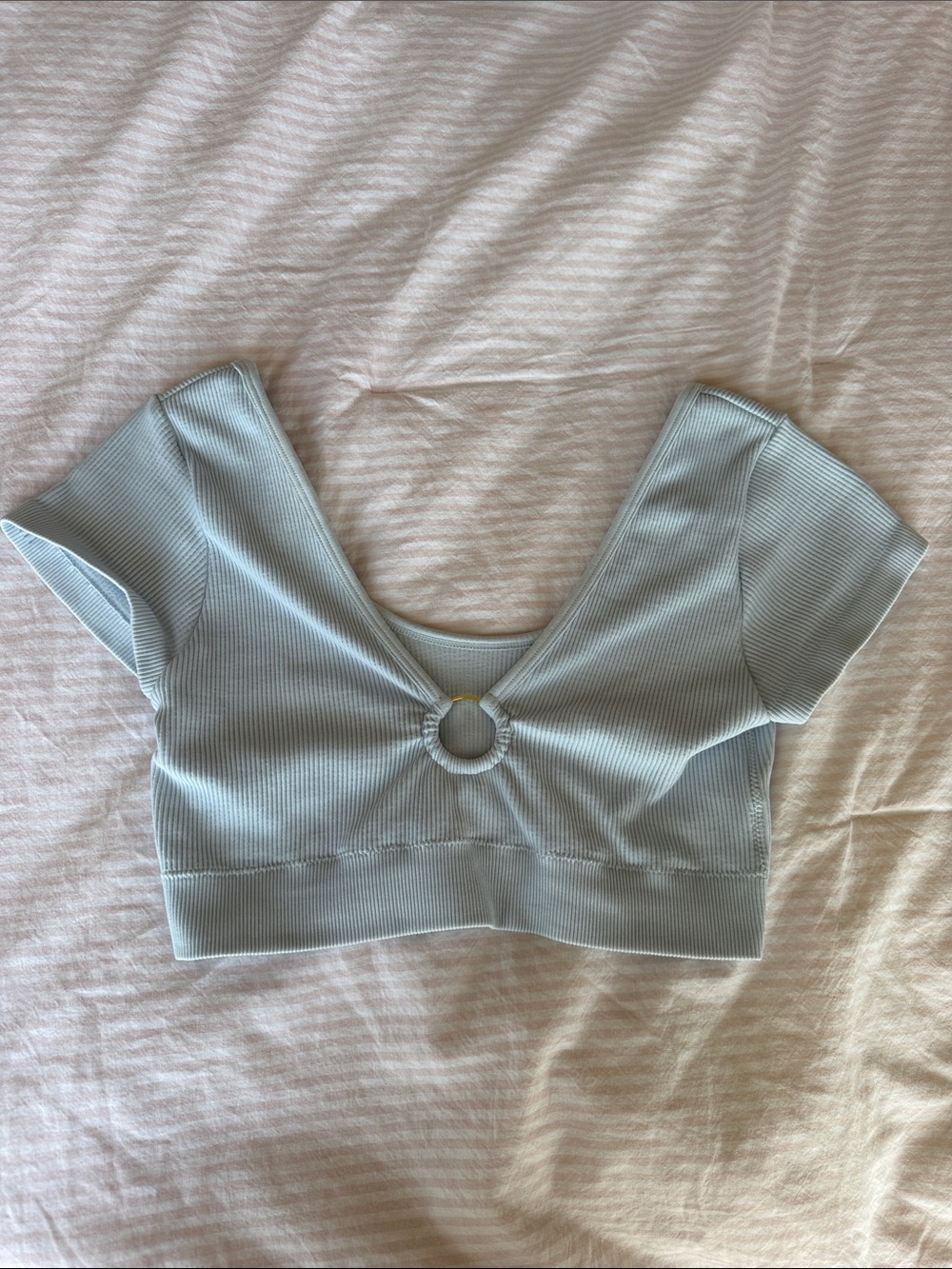 Aerie Ring-Front Ribbed Crop Top in Light Blue
